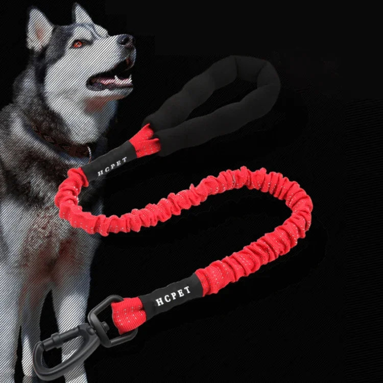 Dây kéo chó HCPET, Dây đàn hồi cao chống nổ cho thú cưng, 75cm, 120cm