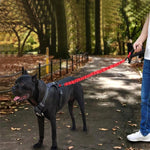 Dây kéo chó HCPET, Dây đàn hồi cao chống nổ cho thú cưng, 75cm, 120cm