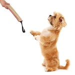 Gậy cắn gai huấn luyện chó, Dụng cụ huấn luyện chó, A1, A2, A3, A4, A5