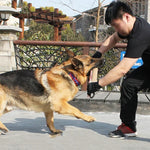 Gậy cắn gai huấn luyện chó, Dụng cụ huấn luyện chó, A1, A2, A3, A4, A5