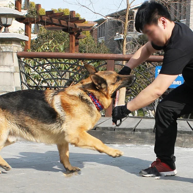 Gậy cắn gai huấn luyện chó, Dụng cụ huấn luyện chó, A1, A2, A3, A4, A5