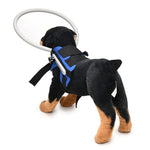 Vòng Bảo Vệ Chống Va Đập Cho Chó Mù, Vòng Bảo Vệ Động Vật, Vòng Hướng Dẫn, S, M