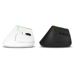 DELUX M618C Chuột không dây Bluetooth dọc RGB 6 phím 1600 DPI chế độ kép, M618C (trắng), M618C (đen)