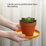 5 chiếc đĩa nhựa nhỏ 6 inch dùng trong nhà, đĩa đựng bánh snack, khay rác bàn ăn