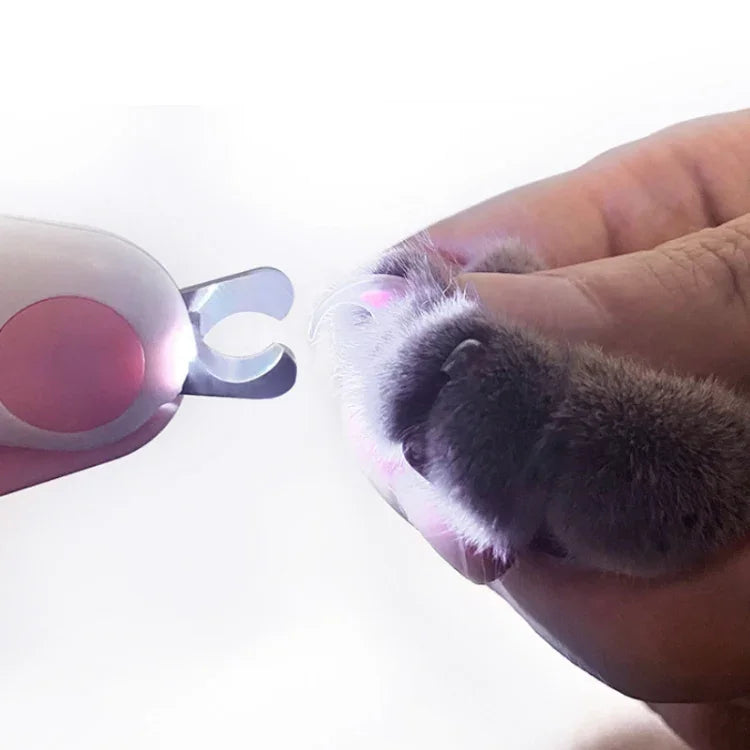 Kéo cắt móng thú cưng có đèn LED chỉ máu, Màu xanh dương, Hồng