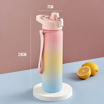 Cốc nước thể thao nhựa dung tích lớn 1000ml màu gradient, Hồng Anh Đào, Xanh Bầu Trời, Xám Bạc