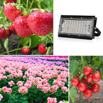 Đèn trồng cây LED phổ đầy đủ chống nước, đèn phát triển 3 dây 24 hạt 25W
