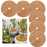 Bộ 6 miếng lót chống đóng băng cho rễ cây, chậu hoa dừa cọ, Kích thước:, 20cm, 30cm
