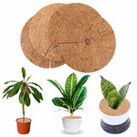 Bộ 6 miếng lót chống đóng băng cho rễ cây, chậu hoa dừa cọ, Kích thước:, 20cm, 30cm