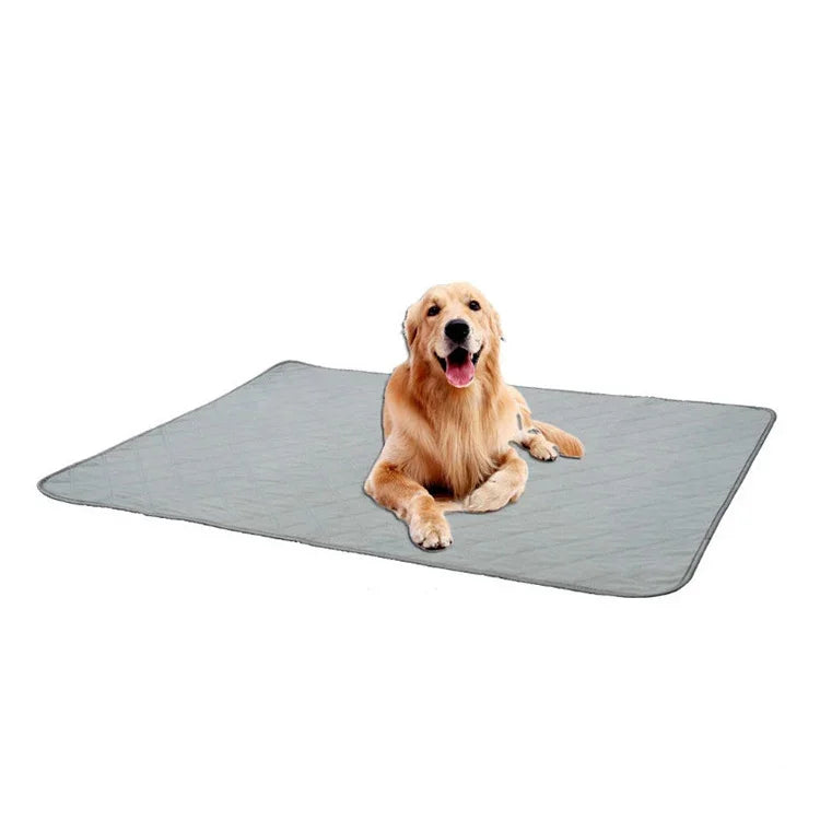 Đệm thấm nước tiểu chó OBL0014, Kích thước:, S (Xám), M (Xám), L (Xám), S (Xanh lá), M (Xanh lá), L (Xanh lá), S (Họa tiết xương), M (Họa tiết xương), L (Họa tiết xương), S (Nâu), M (Nâu), L (Nâu), S (Xám đậm), M (Xám đậm), L (Xám đậm)