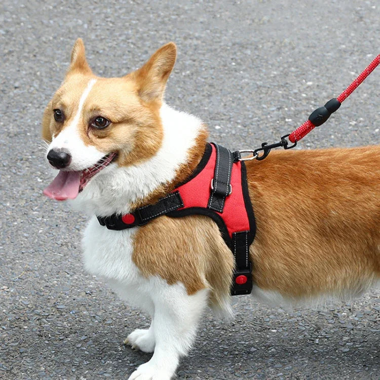 K9 Dog Adjustable Chest Strap, Size:, L, XL