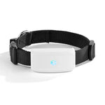 TK911 Định vị GPS 2G chống nước cho thú cưng, TK911