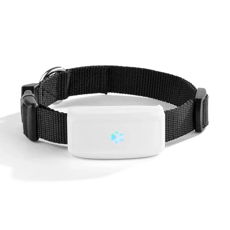 TK911 Định vị GPS 2G chống nước cho thú cưng, TK911
