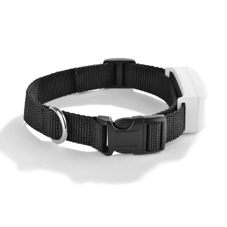TK911 Định vị GPS 2G chống nước cho thú cưng, TK911