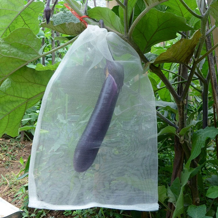Fruit & Vegetable Insect-Proof And Bird-Proof Nylon Mesh Bag, Specification: 70x48cm, 25x25cm, 45x15cm, 70x48cm, 30x25cm
