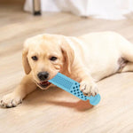 Đồ chơi gặm hình bàn chải đánh răng bằng TPR cho chó, hình bàn chải đánh răng, màu xanh nhạt, màu hồng