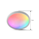 Đèn trần LED điều khiển từ xa WiFi Bluetooth 2.4G, điện áp:, tiêu chuẩn EU 220V-240V, tiêu chuẩn Mỹ 110V-130V