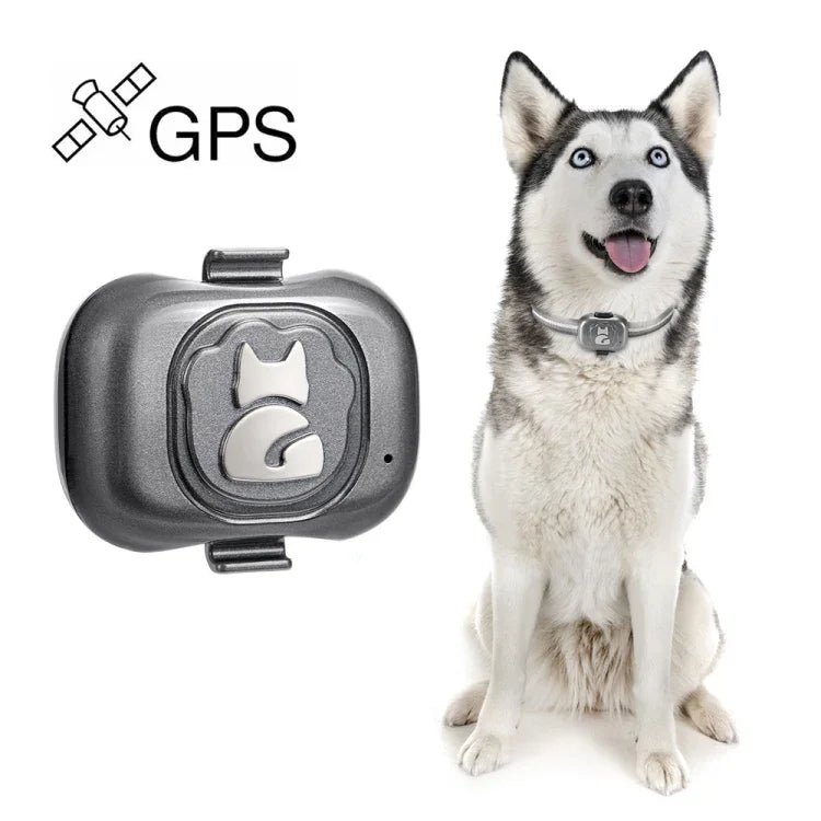 G16 Vòng cổ thông minh định vị GPS cho thú cưng chống nước IP67, chống mất cho chó mèo, G16 Pets GPS