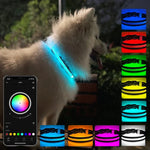 Vòng cổ thú cưng có đèn LED sạc lại, chống mài mòn và chống nước, Kích thước:, XS, S, M, L