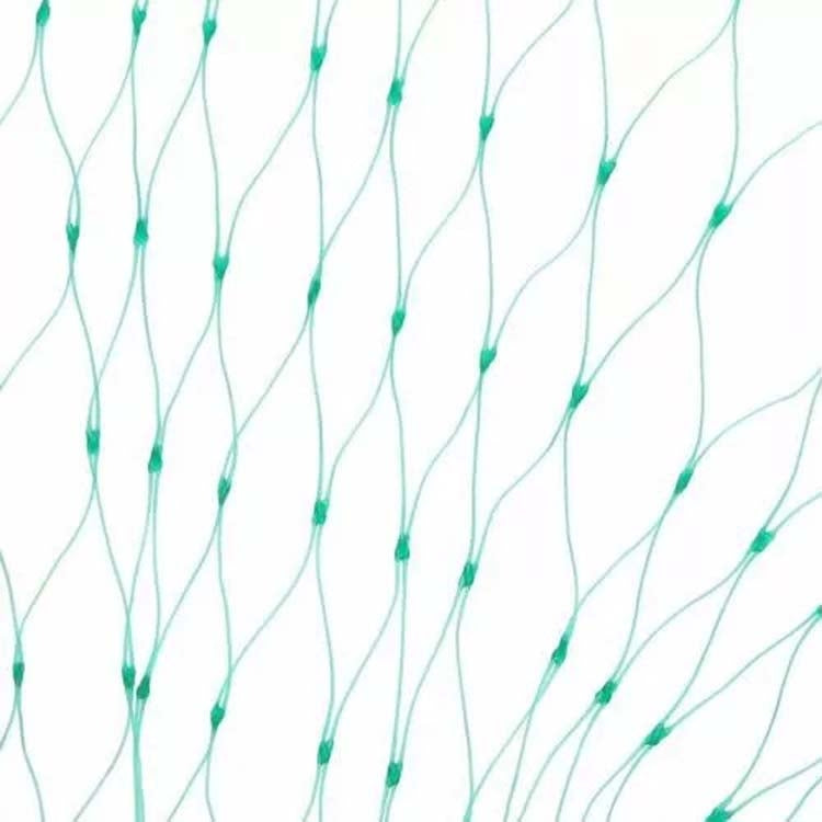 Lưới chống chim bảo vệ cây trồng trong vườn, 2Mx10M, 4Mx5M, 4Mx10M, 4Mx12M, 5Mx10M, 5Mx20M, 4Mx15M