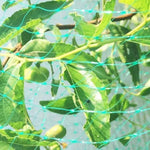 Lưới chống chim bảo vệ cây trồng trong vườn, 2Mx10M, 4Mx5M, 4Mx10M, 4Mx12M, 5Mx10M, 5Mx20M, 4Mx15M