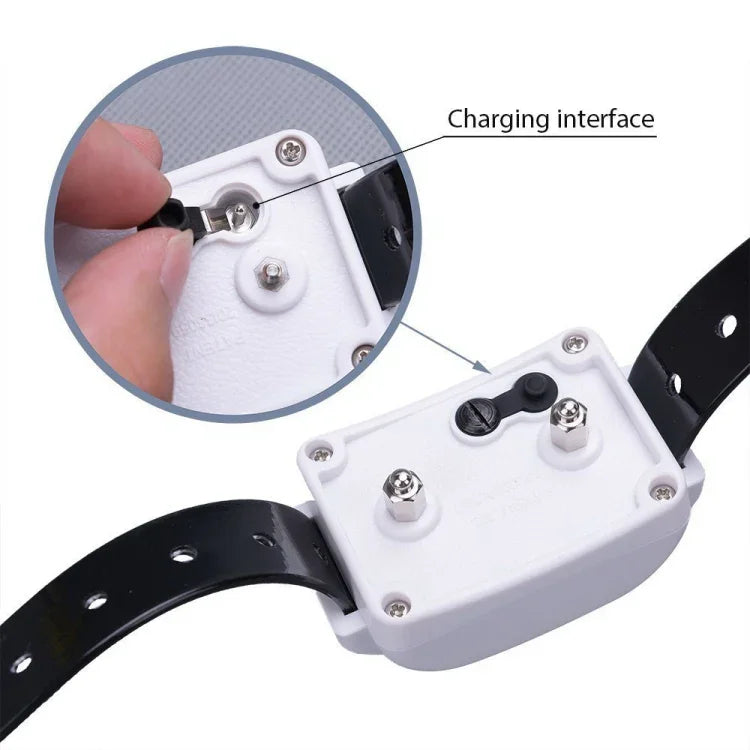 Vòng cổ điện không dây KD-661 500m cho chó, Thông số:, Dùng cho một chó, Dùng cho hai chó, Dùng cho ba chó