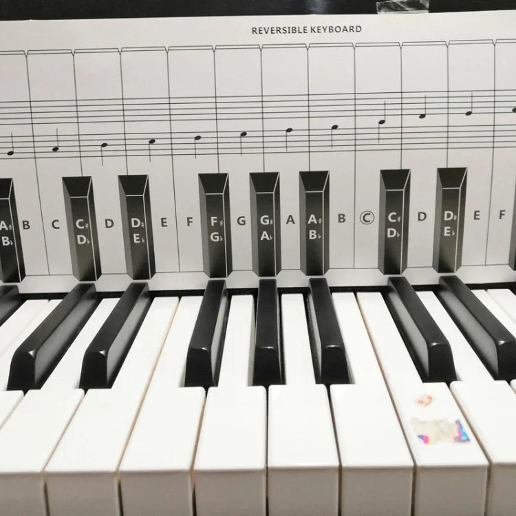 Bảng so sánh tập ngón phím đàn piano 88 phím, màu trắng