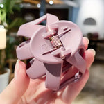 10 chiếc kẹp tóc nữ mờ mịn