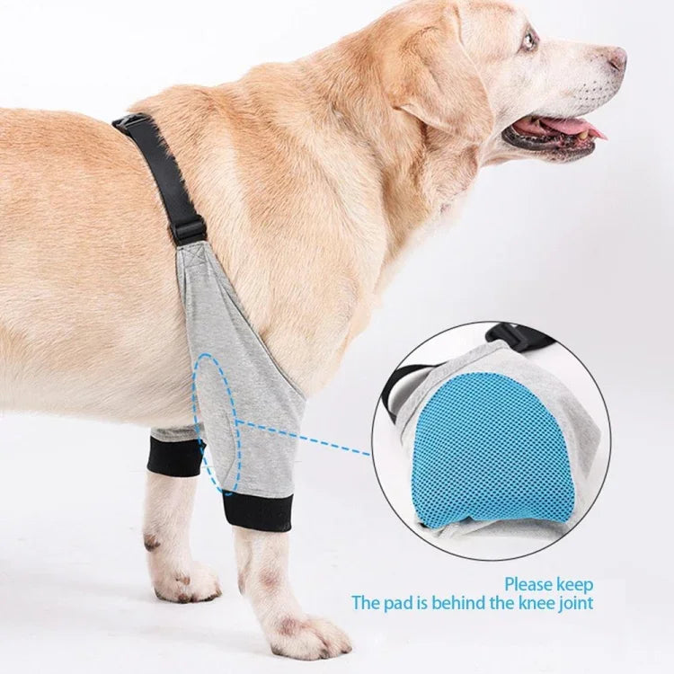 Bảo Vệ Đầu Gối Thú Cưng Thoáng Khí, Nẹp Khuỷu Chó, Nẹp Chân Trước, S, M, L, XL, XXL