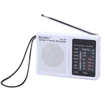 Đài FM AM hai băng tần di động phong cách cổ điển BAIJIALI BJL228 có loa tích hợp, BJL228 màu trắng, BJL228 màu đen