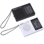 Đài FM AM hai băng tần di động phong cách cổ điển BAIJIALI BJL228 có loa tích hợp, BJL228 màu trắng, BJL228 màu đen