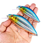 Mồi giả chìm câu xa HENGJIA Minnow, dài 9.5cm nặng 15g, dài 12cm nặng 32g
