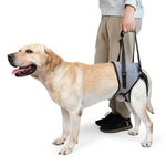 Dây Đai Hỗ Trợ Chân Sau Chó Giảm Áp Hỗ Trợ Du Lịch Cho Chó Già Và Bị Thương, S, M, L