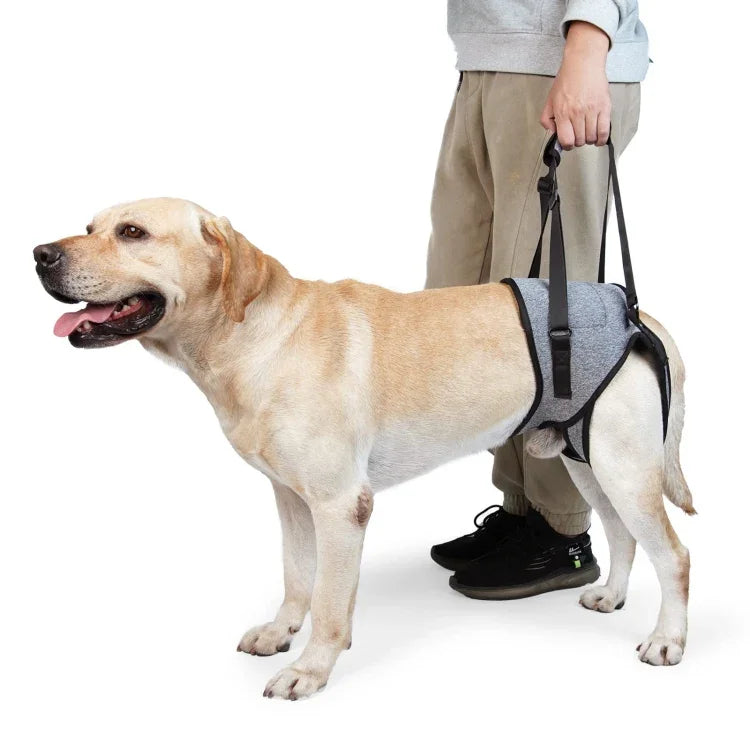 Dây Đai Hỗ Trợ Chân Sau Chó Giảm Áp Hỗ Trợ Du Lịch Cho Chó Già Và Bị Thương, S, M, L
