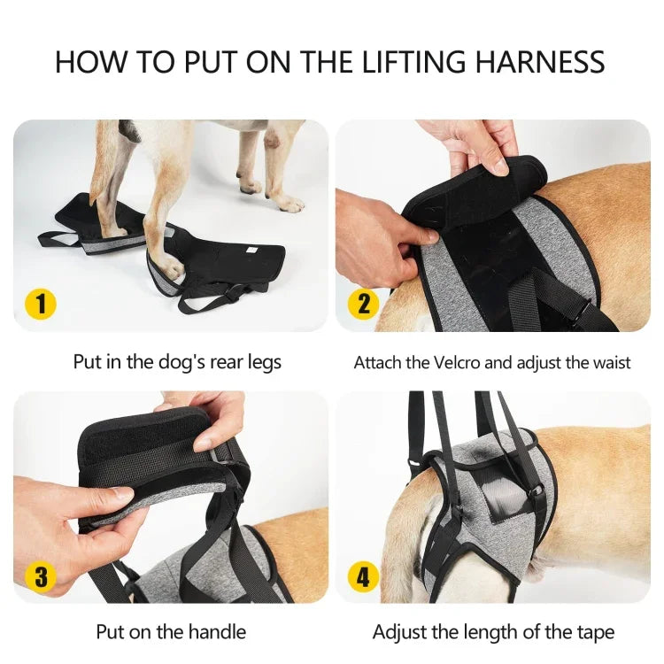 Dây Đai Hỗ Trợ Chân Sau Chó Giảm Áp Hỗ Trợ Du Lịch Cho Chó Già Và Bị Thương, S, M, L
