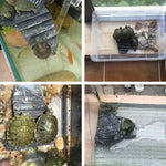 Bệ leo bể thủy sinh cho rùa Turtle Aquascape, hang ẩn cho bò sát, bệ rùa ba chân, nhỏ, lớn