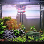 Resin Turtle Sunbed Climbing Table Stump Hideaway House Sunback Table, GT026, GT023, GT149, GT001, GT013S
