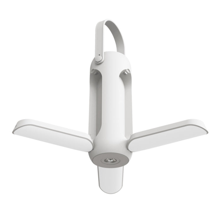 نص بديل للصورة