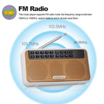 Loa Bluetooth Rolton E500 2.1 kênh có micro tích hợp, hỗ trợ radio FM