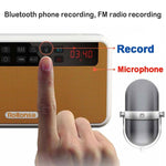 Loa Bluetooth Rolton E500 2.1 kênh có micro tích hợp, hỗ trợ radio FM