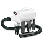 Máy Sấy Chó 2100W Tốc Độ Không Bước Sóng Thổi Lông Thú Cưng, 220V Phích Cắm Anh, 220V Phích Cắm EU, 220V Phích Cắm Úc, 110V Phích Cắm Mỹ