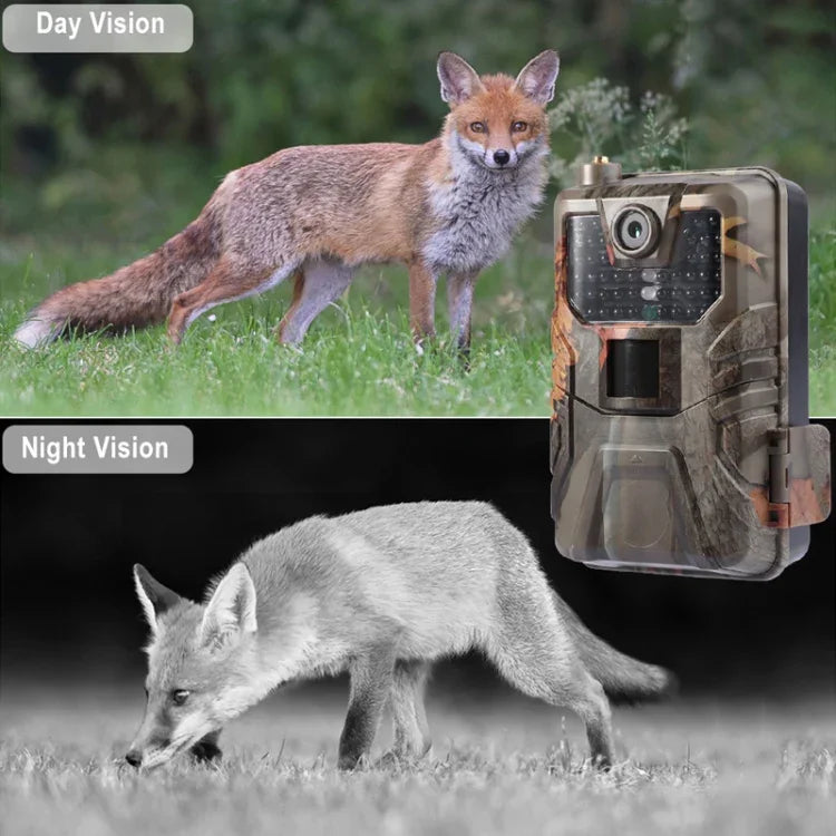 Camera săn bắn 36MP 4K 4G điều khiển từ xa qua APP trên điện thoại di động xem ảnh / video mọi lúc, HC-900Pro