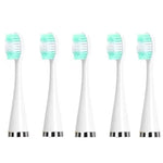 Đầu thay thế cho máy cạo răng điện, các loại: trắng cơ bản, trắng đặc biệt, đen cơ bản, đen đặc biệt, xanh cơ bản, xanh đặc biệt, 5 đầu bàn chải trắng, 5 đầu bàn chải đen, 5 đầu bàn chải xanh