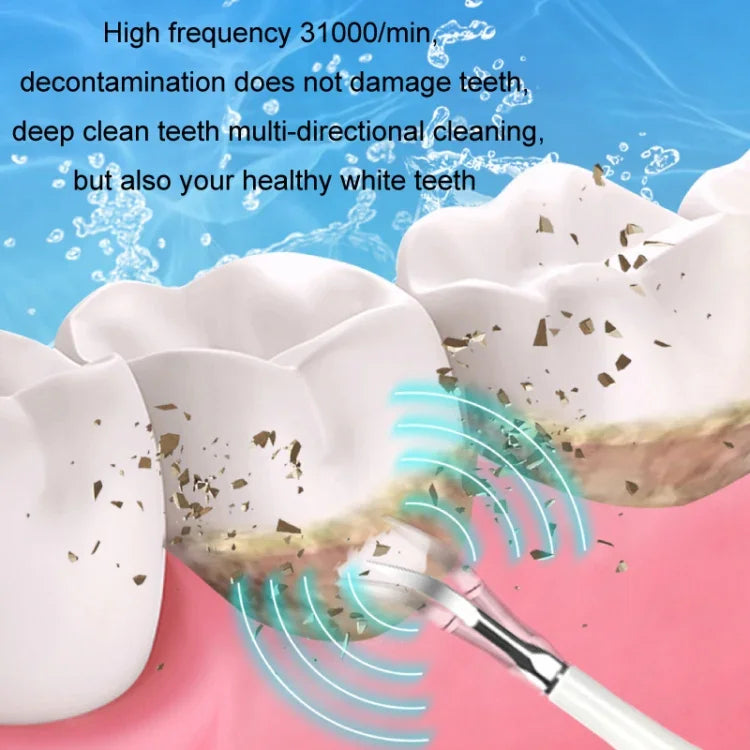 Đầu thay thế cho máy cạo răng điện, các loại: trắng cơ bản, trắng đặc biệt, đen cơ bản, đen đặc biệt, xanh cơ bản, xanh đặc biệt, 5 đầu bàn chải trắng, 5 đầu bàn chải đen, 5 đầu bàn chải xanh