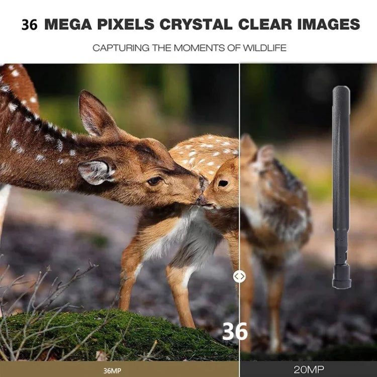 Camera săn bắn ngoài trời 4K 4G HC-801Pro điều khiển từ xa qua APP trên điện thoại di động xem ảnh và video mọi lúc, phích cắm EU, phích cắm US, phích cắm AU
