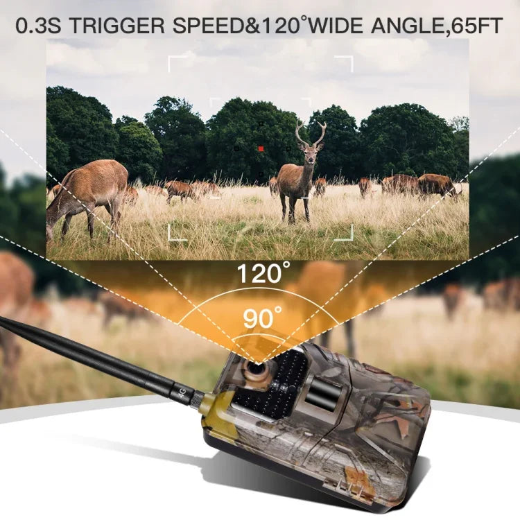 Camera săn bắn theo dõi động vật hoang dã 20MP 2K bẫy ảnh tầm nhìn ban đêm 4G SMS MMS SMTP giám sát di động HC-900LTE