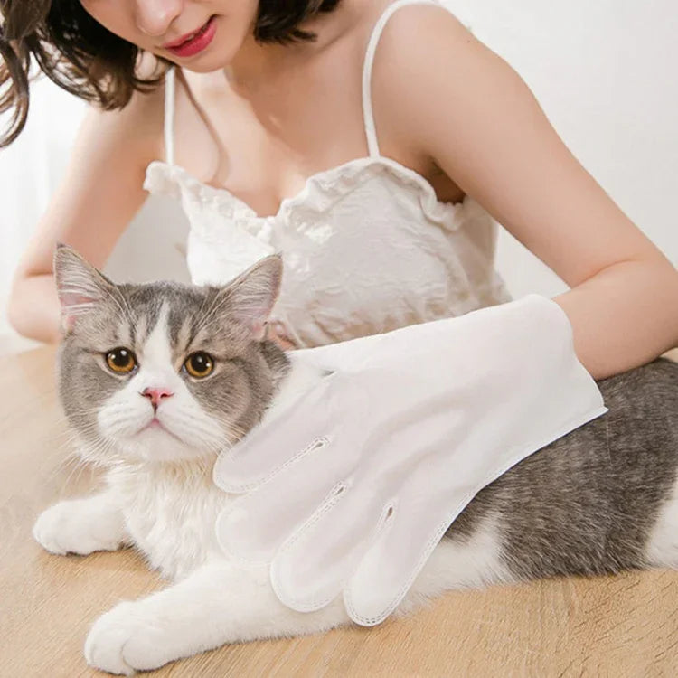 Găng Tay Khăn Ướt Không Cần Xả KIMHOME Tắm Khử Mùi Vệ Sinh Khô Cho Chó Mèo, 6 Cái / Gói