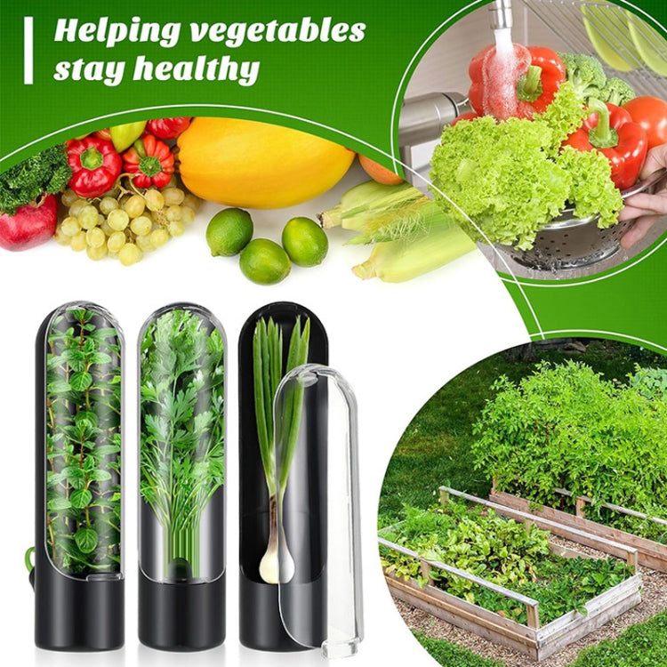 Hộp Đựng Rau Thảo Mộc Giữ Tươi Rau Củ, Hộp Đựng Thảo Mộc Ngò, 24.5 x 6.5 cm