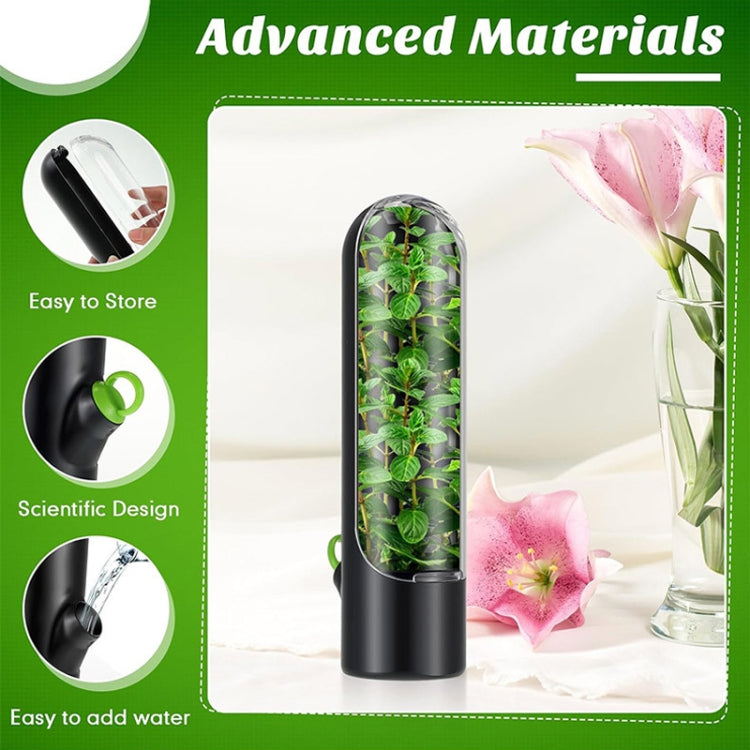 Hộp Đựng Rau Thảo Mộc Giữ Tươi Rau Củ, Hộp Đựng Thảo Mộc Ngò, 24.5 x 6.5 cm