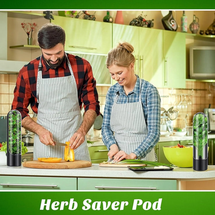 Hộp Đựng Rau Thảo Mộc Giữ Tươi Rau Củ, Hộp Đựng Thảo Mộc Ngò, 24.5 x 6.5 cm